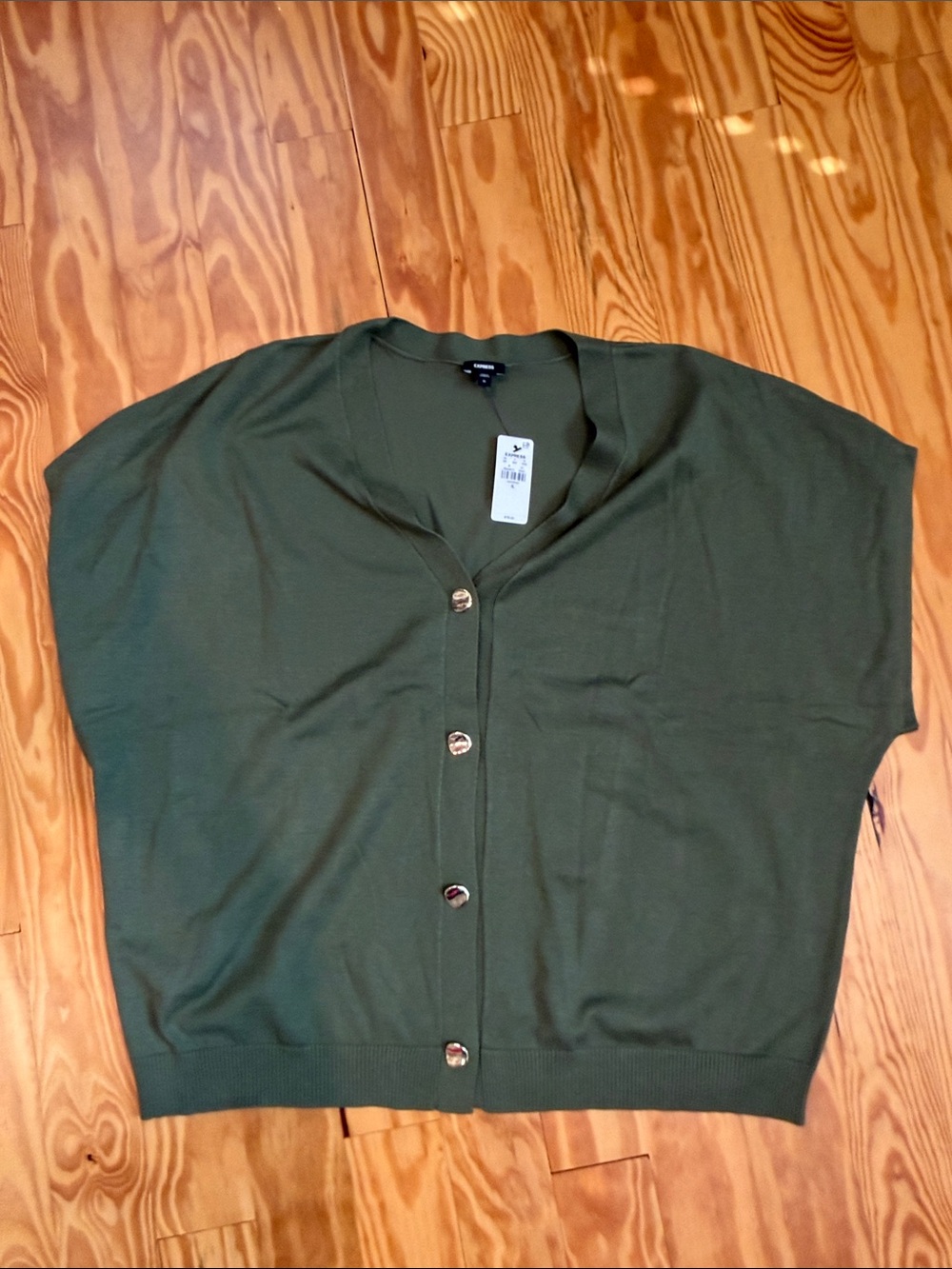 Express short sleeve sweater
